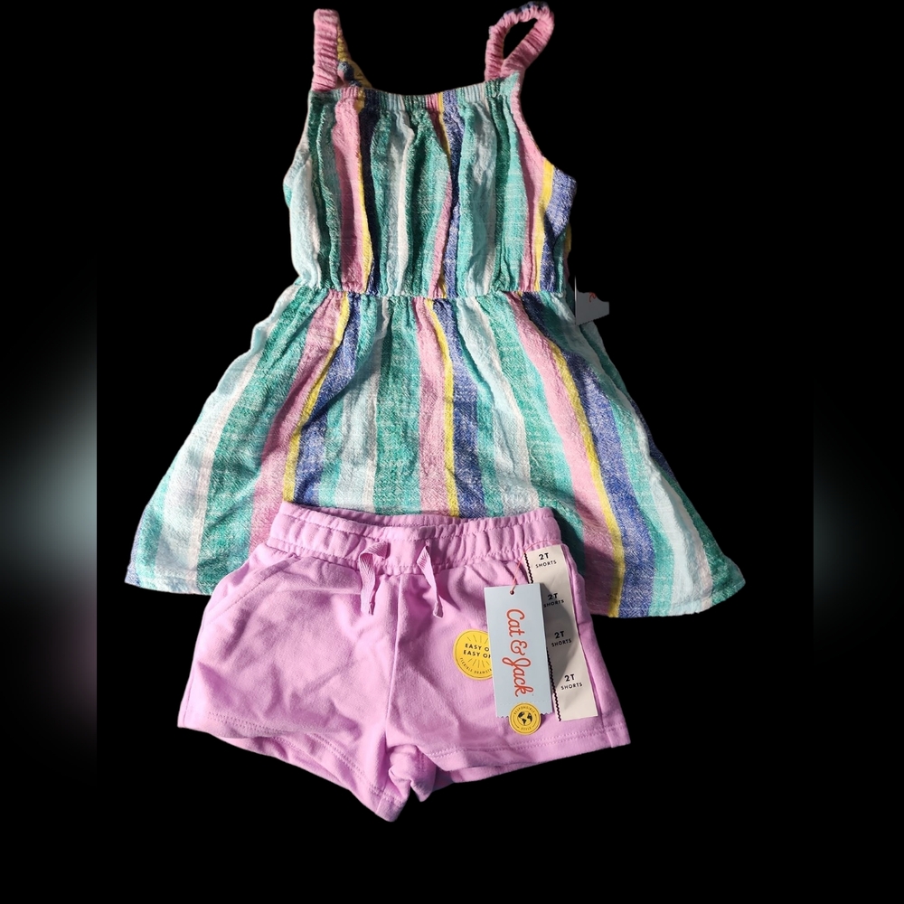 Girls 2T Cat And Jack Striped Dress and Purple Shorts Set NWT